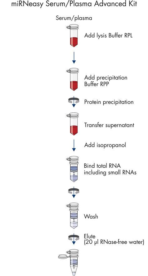 mirna extraction kit.